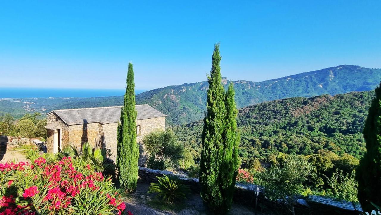 Domaine Colonna-Santini, Gite Piscine, Sauna, Spa Porri Kültér fotó