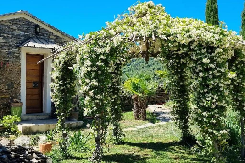 Domaine Colonna-Santini, Gite Piscine, Sauna, Spa Porri Kültér fotó